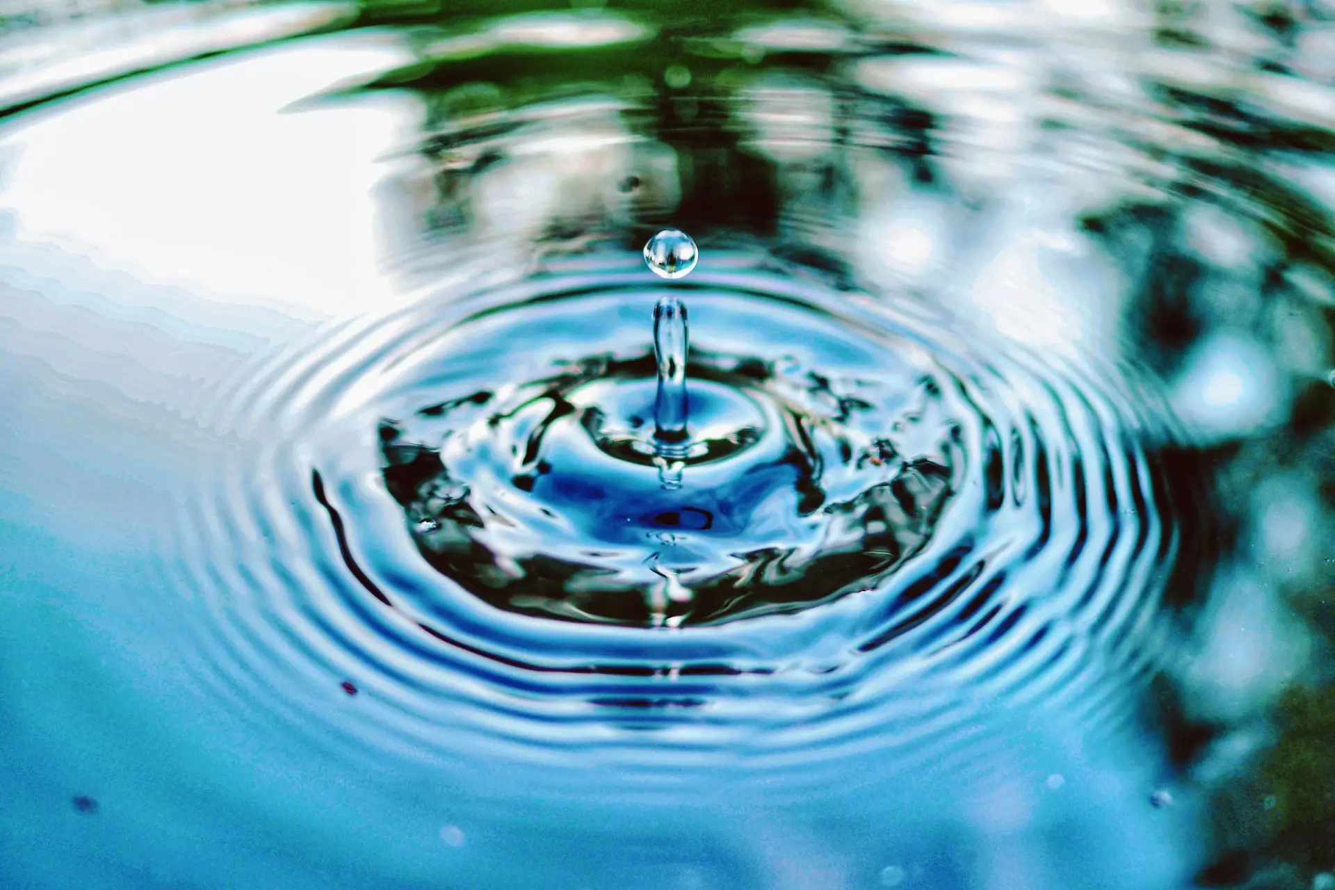 Water Stewardship sustainable flour mill Pakistan, solar-powered milling, wheat by-product recycling, water conservation in milling, Kamran CSR Punjab
